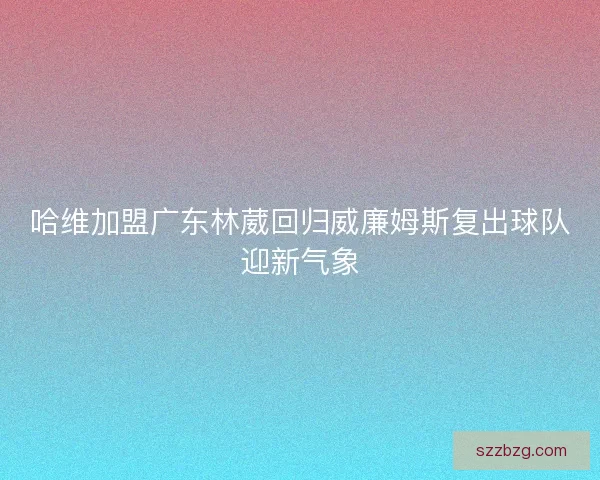 哈维加盟广东林葳回归威廉姆斯复出球队迎新气象